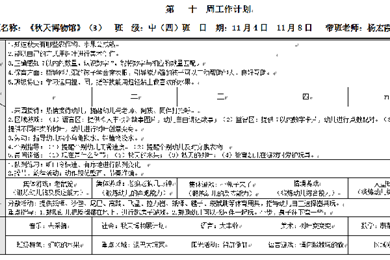 第十周周计划